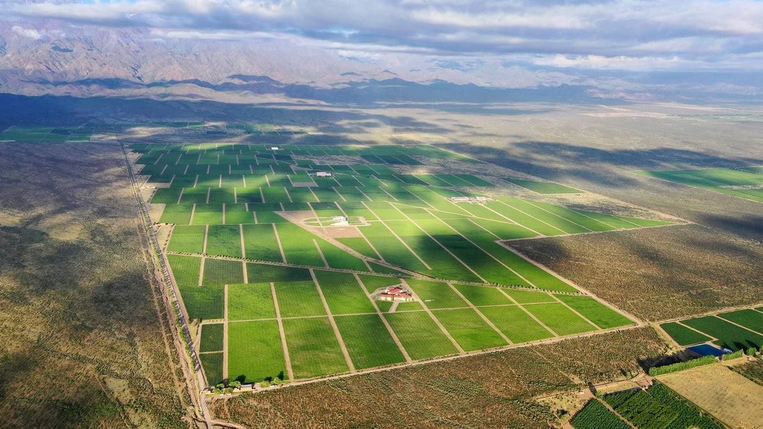 El Valle de Uco empieza en Vista Flores