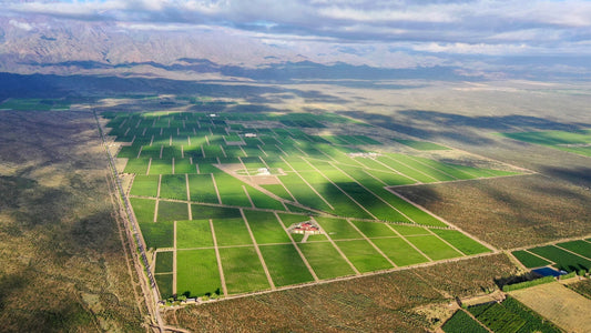 El Valle de Uco empieza en Vista Flores